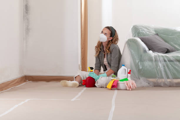Reliable Mold Inspection contractor in Cave Creek, AZ by WQB Mold Removal